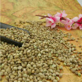 Natural growth bulk hemp seed sprouting grade